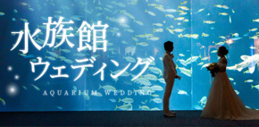 水族館ウェディング