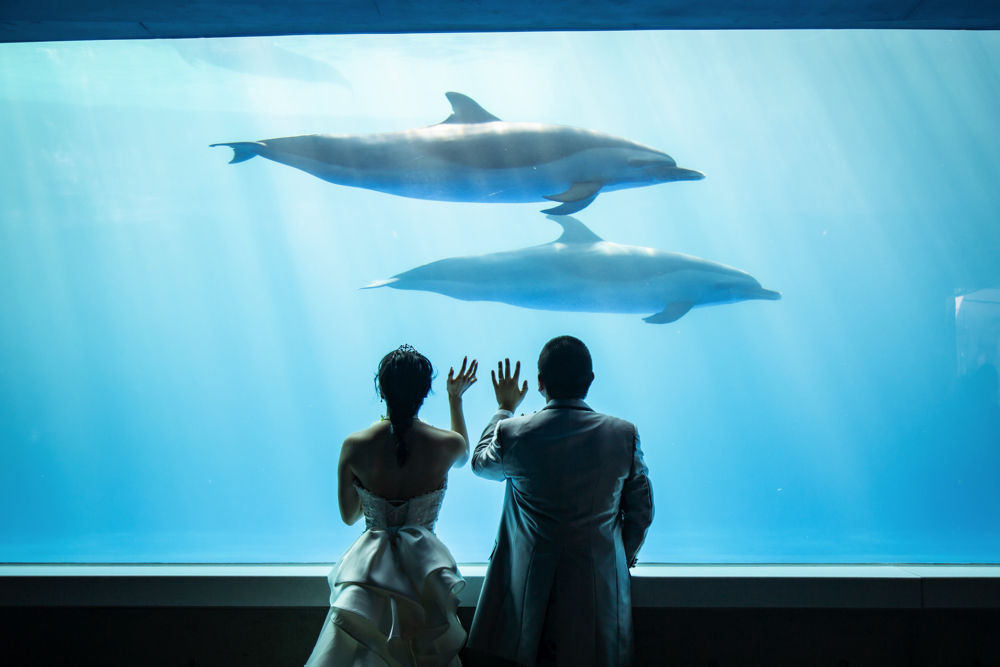 憧れの水族館前撮り♪